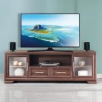 SAVANNAH PLASMA STAND